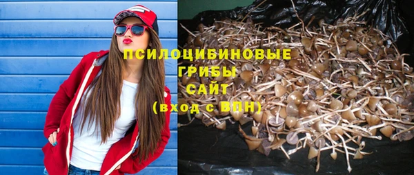 a pvp Магас