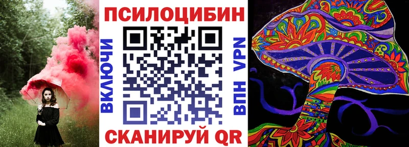 Галлюциногенные грибы Psilocybine cubensis  Цоци-Юрт 